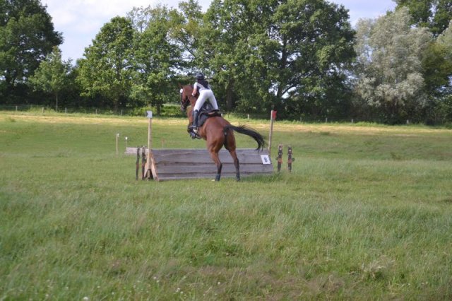 reitertag 2013 293